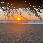 La Mata