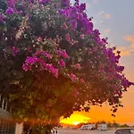 La Mata 公寓 托雷维耶哈