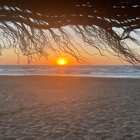 La Mata