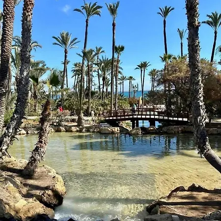 La Mata *