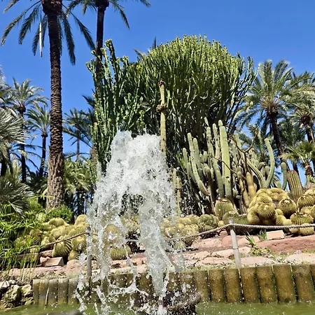 La Mata *