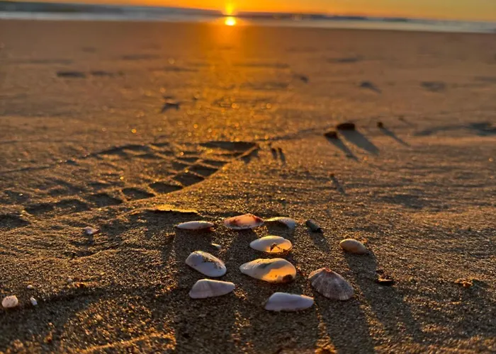 La Mata * Торевьиа