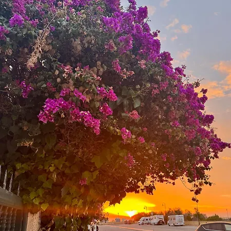 La Mata Apartament Torrevieja